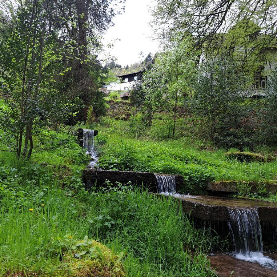 Wohn-Eitel Sonnenblick Bad Wildbad Exterior foto